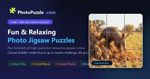 Free Photo Puzzles